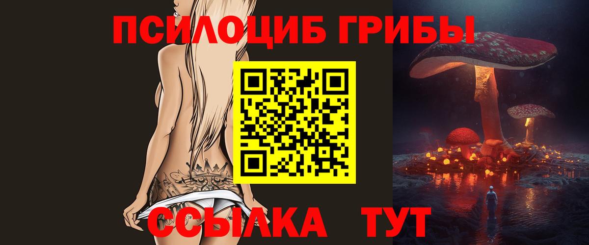 Галлюциногенные грибы ЛСД  Псилоцибиновые грибы Psilocybine cubensis  Вход с VPN  Балашов 